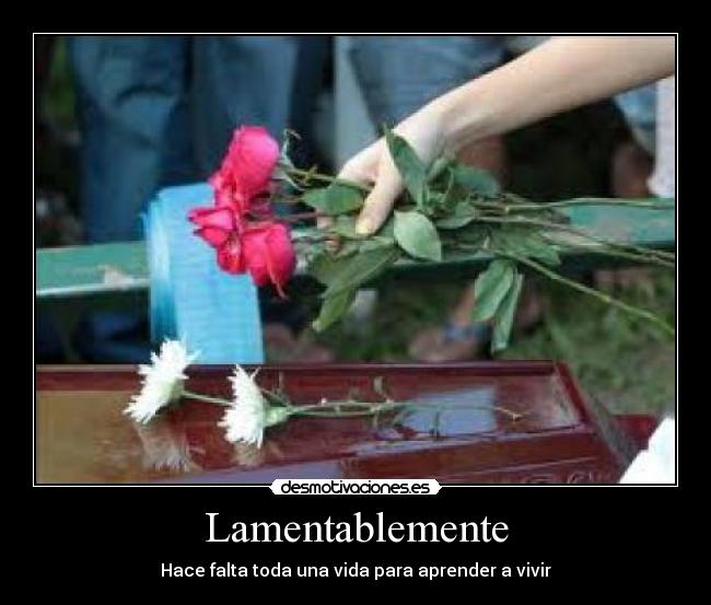 Lamentablemente -