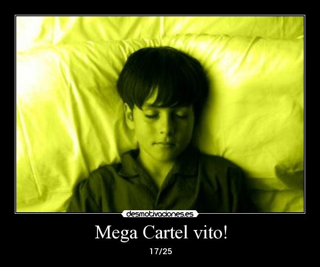 Mega Cartel vito! - 17/25