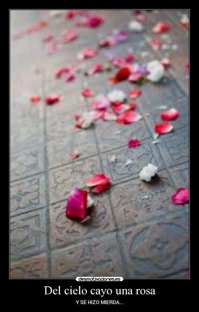 Del cielo cayo una rosa - 