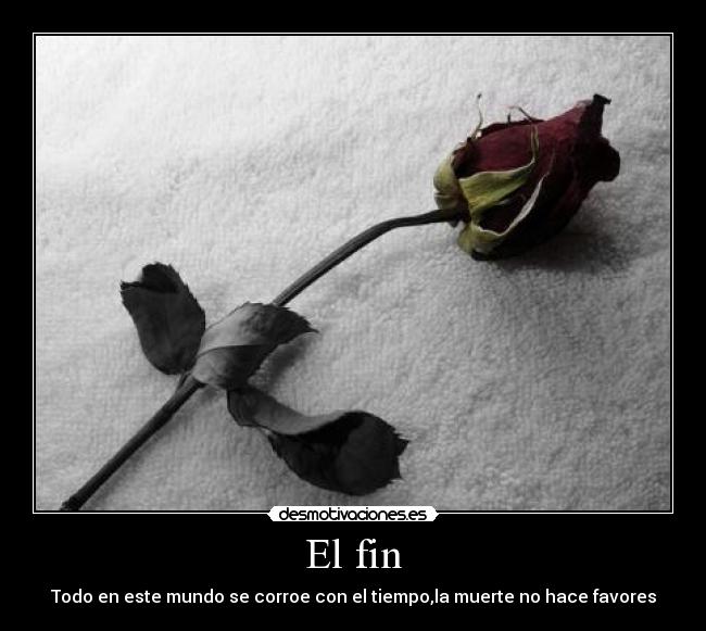 El fin -