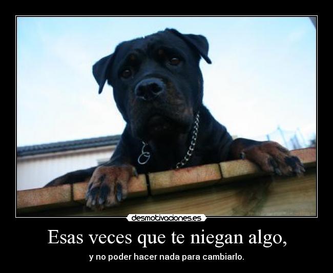Esas veces que te niegan algo, -