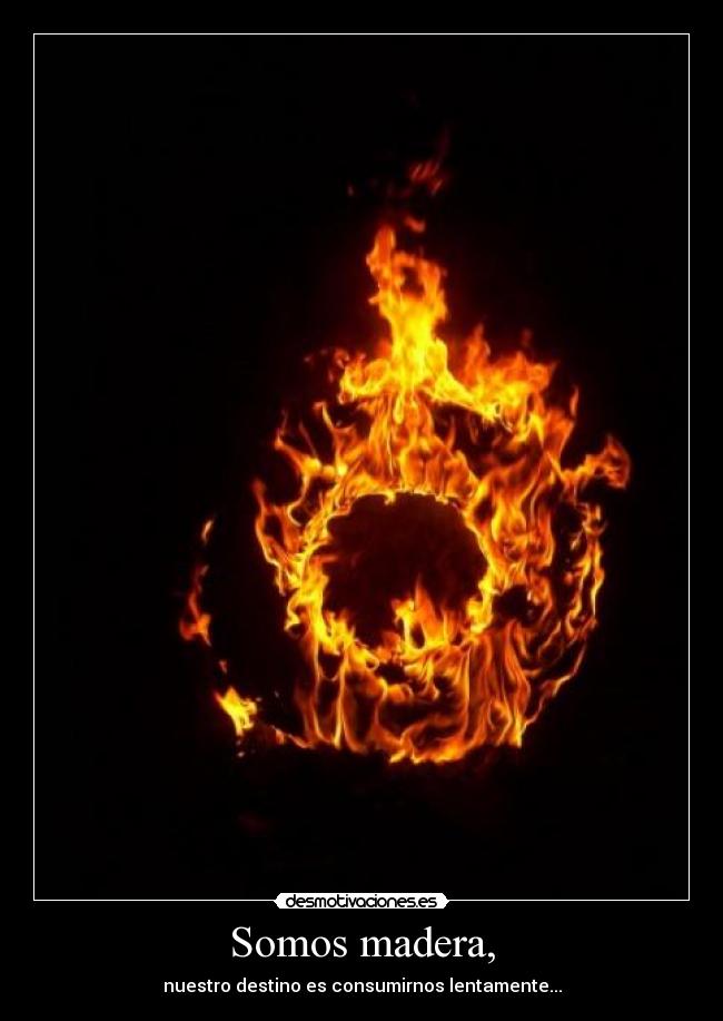 Somos madera, - 