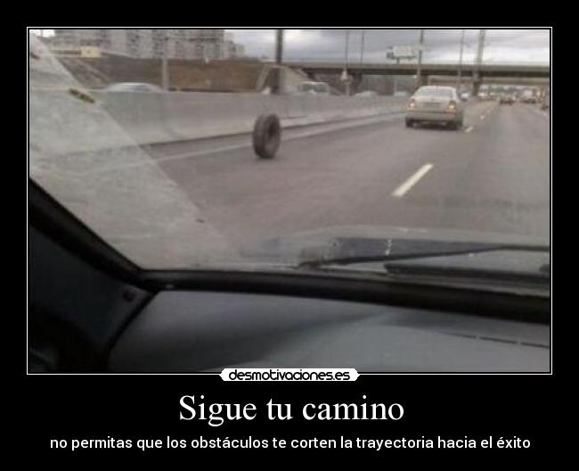 Sigue tu camino - 