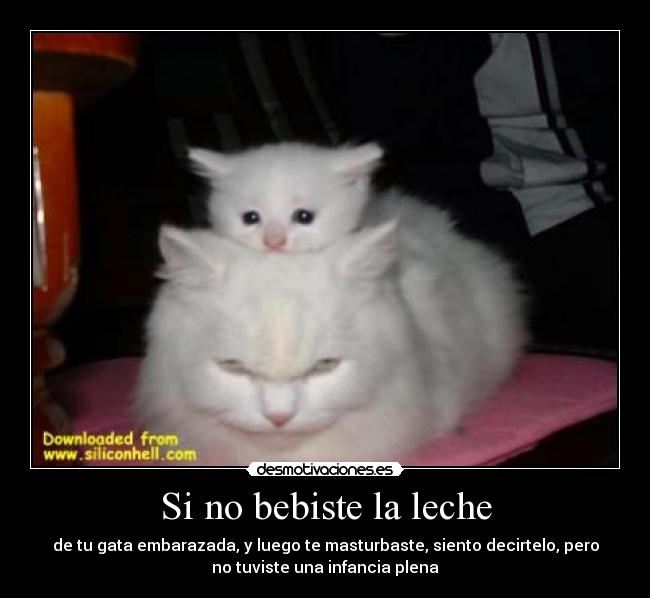 Si no bebiste la leche - de tu gata embarazada, y luego te masturbaste, siento decirtelo, pero
no tuviste una infancia plena