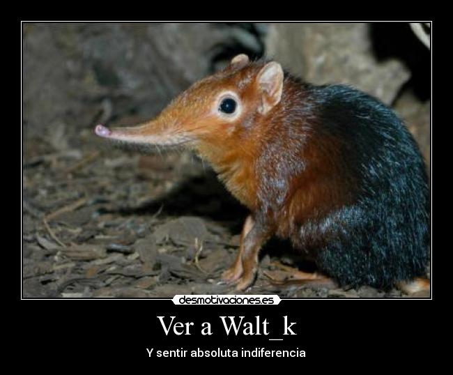 Ver a Walt_k - Y sentir absoluta indiferencia