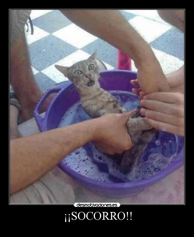 ¡¡SOCORRO!! - 