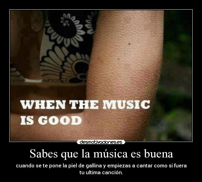 Sabes que la música es buena - cuando se te pone la piel de gallina y empiezas a cantar como si fuera
tu ultima canción.
