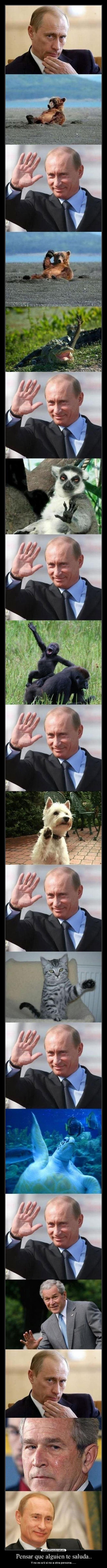 Pensar que alguien te saluda.. - 