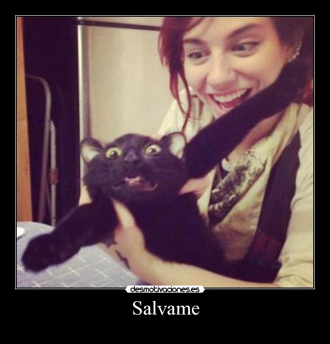 Salvame - 