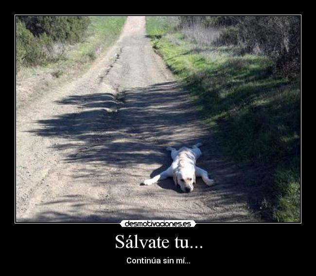 Sálvate tu... - Continúa sin mí...