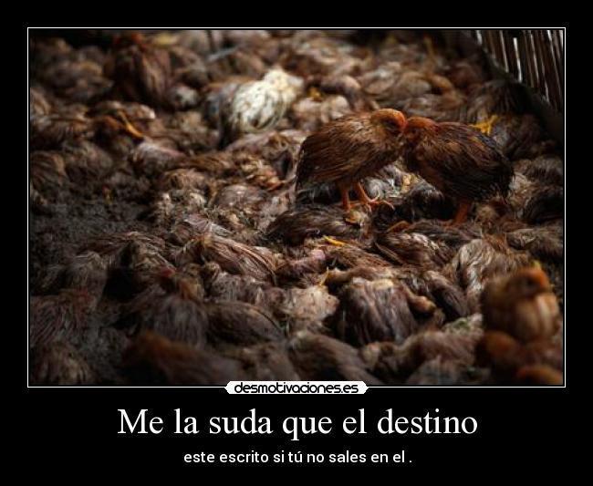 Me la suda que el destino - este escrito si tú no sales en el .
