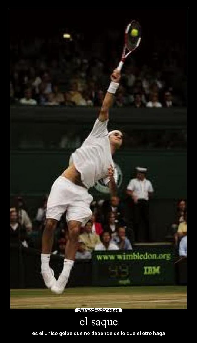 carteles roger federer desmotivaciones