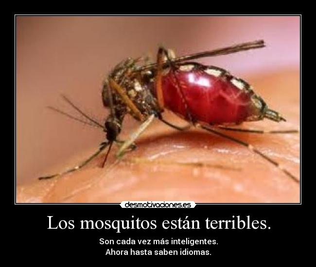 Los mosquitos están terribles. - Son cada vez más inteligentes.
Ahora hasta saben idiomas.