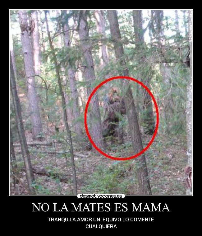 NO LA MATES ES MAMA - TRANQUILA AMOR UN EQUIVO LO COMENTE
CUALQUIERA