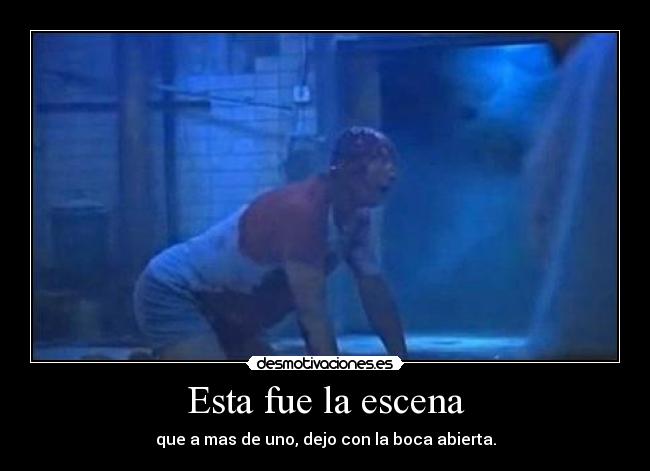 Esta fue la escena - 
