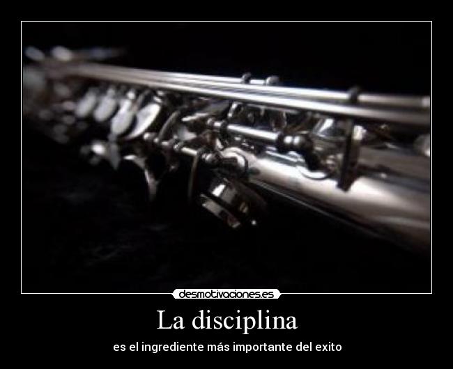 La disciplina - es el ingrediente más importante del exito