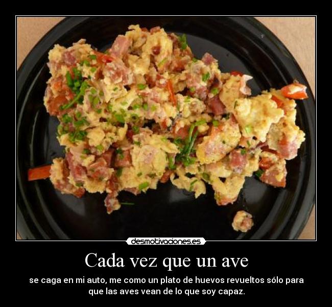 Cada vez que un ave - se caga en mi auto, me como un plato de huevos revueltos sólo para
que las aves vean de lo que soy capaz.