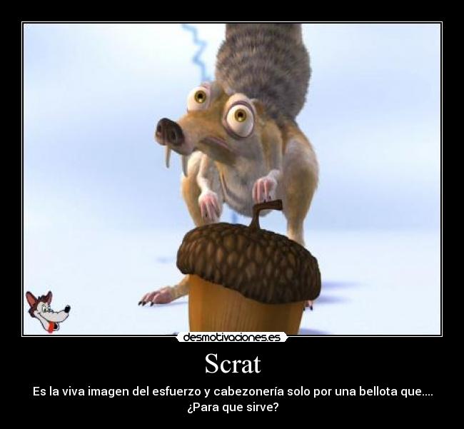 Scrat - Es la viva imagen del esfuerzo y cabezonería solo por una bellota que....
¿Para que sirve?