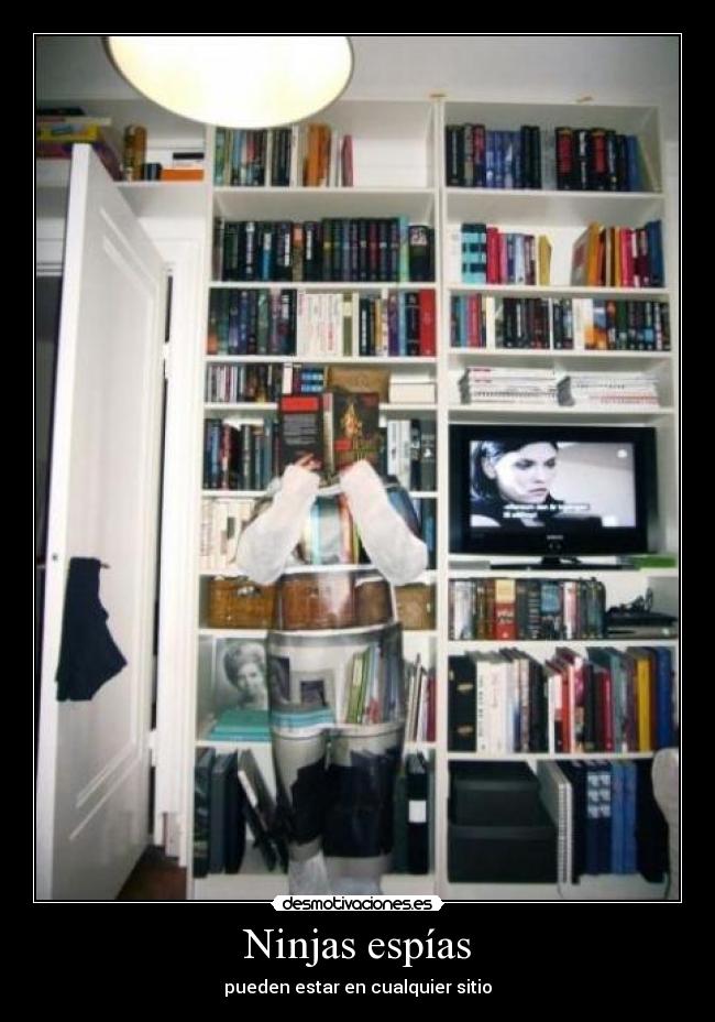 Ninjas espías -