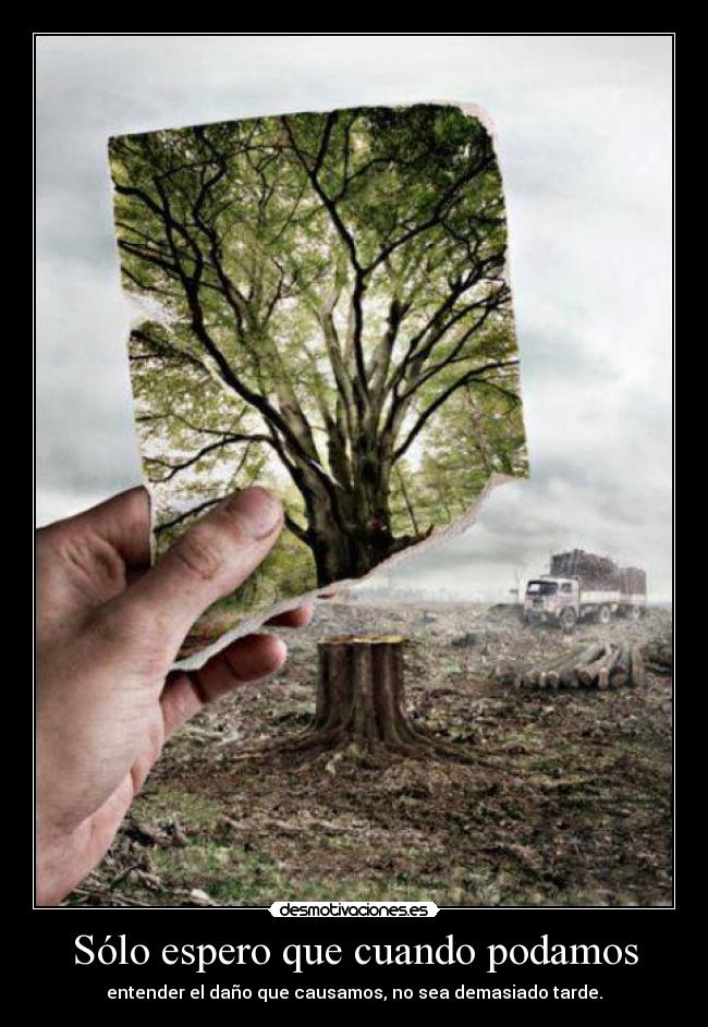 Sólo espero que cuando podamos - 