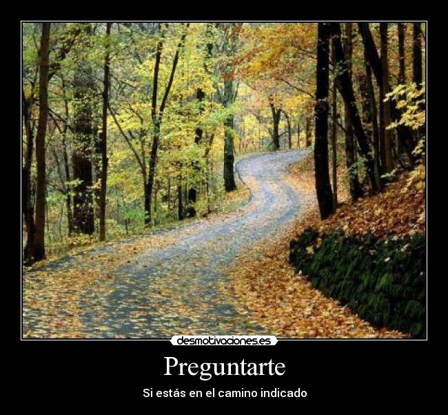 carteles dudas desmotivaciones