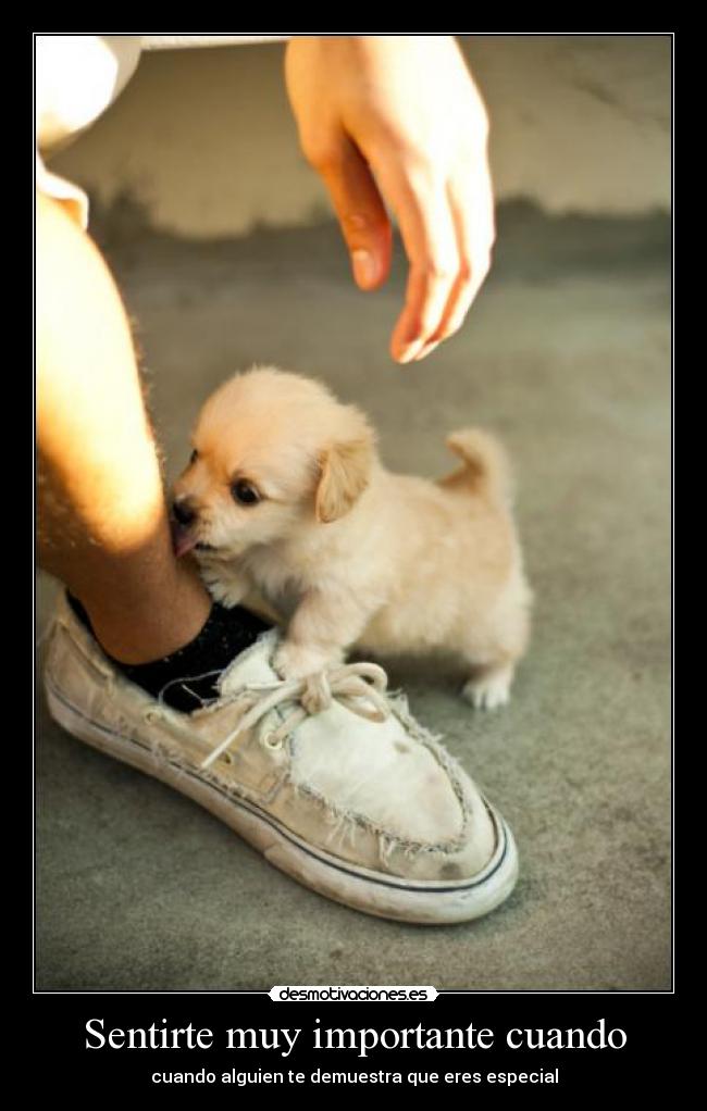 Sentirte muy importante cuando - cuando alguien te demuestra que eres especial