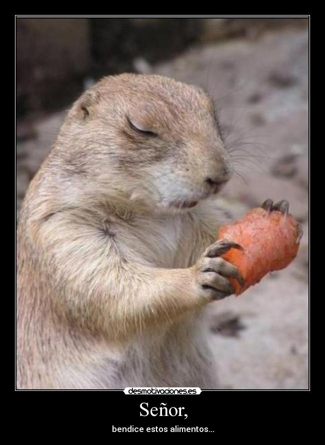 Señor, - bendice estos alimentos...