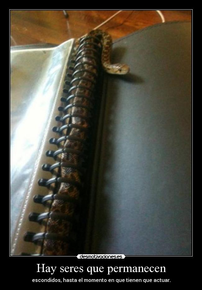 Hay seres que permanecen - 