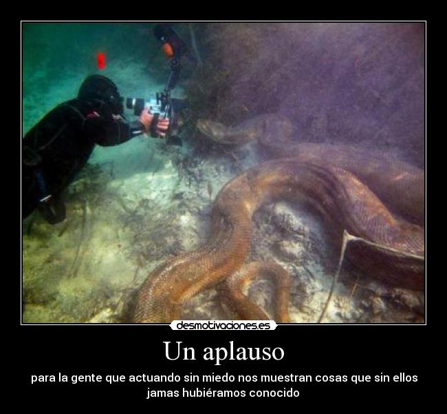 Un aplauso - para la gente que actuando sin miedo nos muestran cosas que sin ellos
jamas hubiéramos conocido