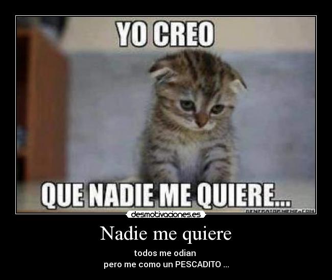 Nadie me quiere - 