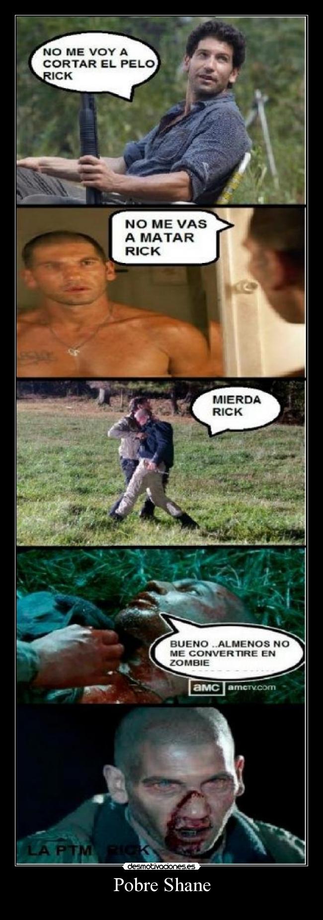 Pobre Shane -