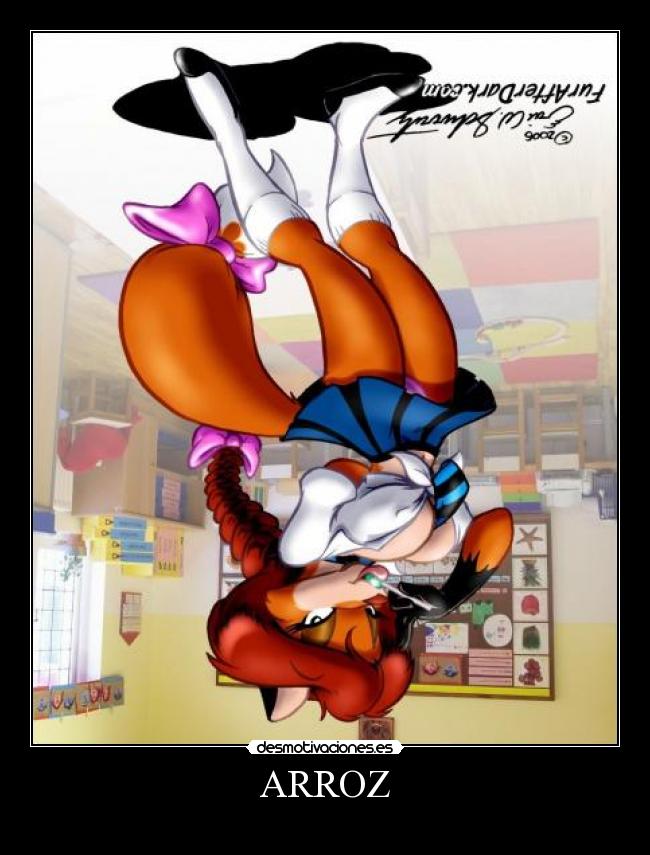 ARROZ - 