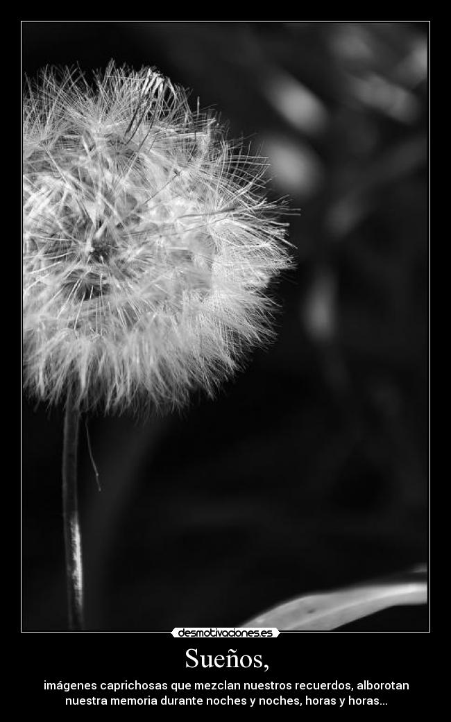 Sueños, - 