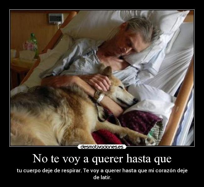 No te voy a querer hasta que -