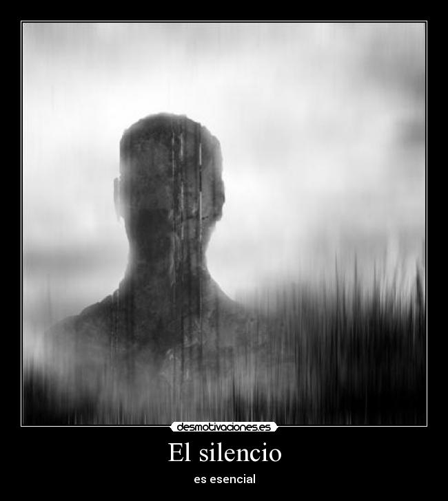 carteles silencio silencio desmotivaciones