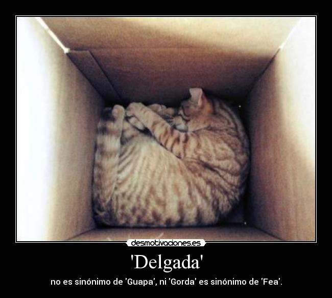 Delgada - no es sinónimo de Guapa, ni Gorda es sinónimo de Fea.