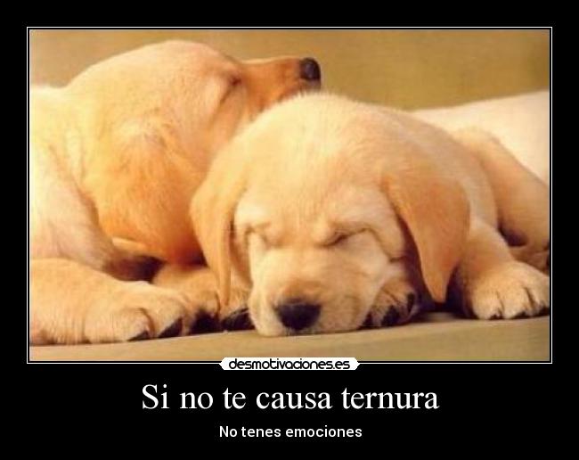 Si no te causa ternura - 