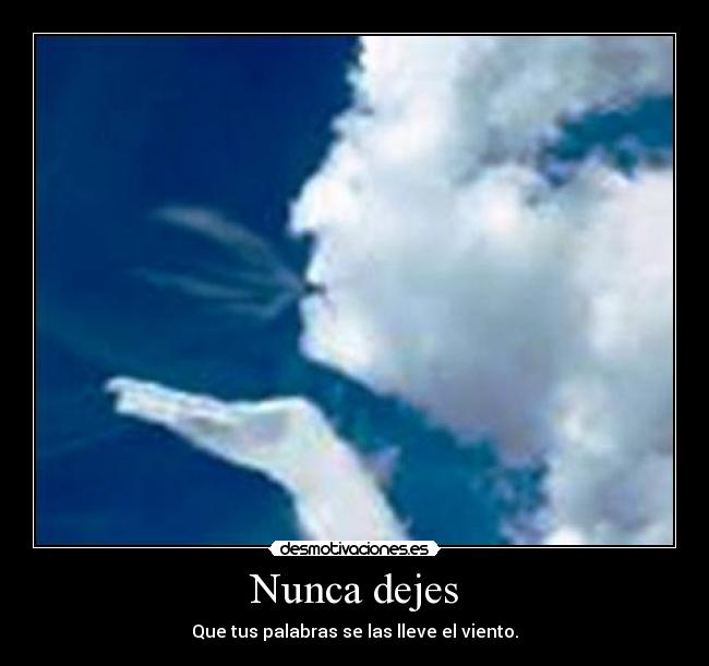 Nunca dejes - 