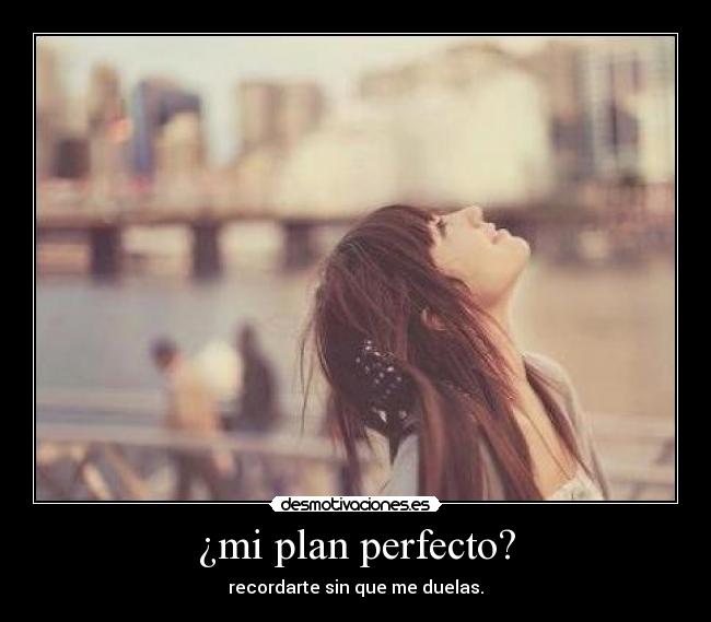 ¿mi plan perfecto? -