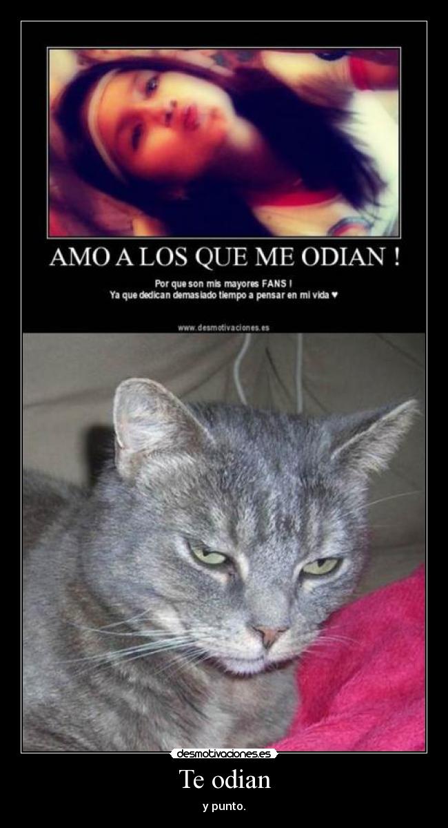Te odian - y punto.