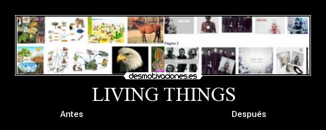 LIVING THINGS - Antes Después