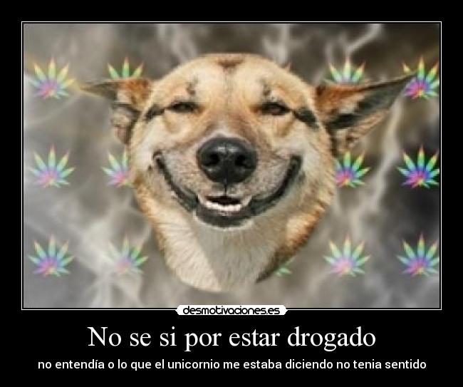 carteles jajaja desmotivaciones