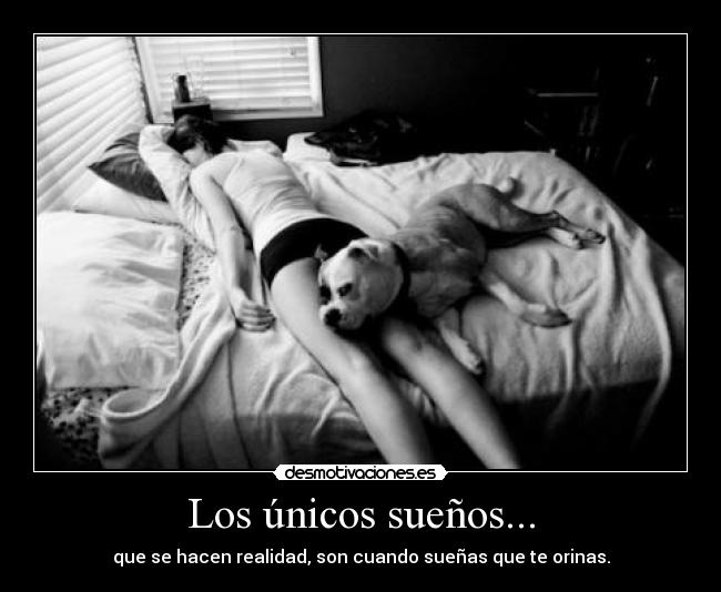 Los únicos sueños... -
