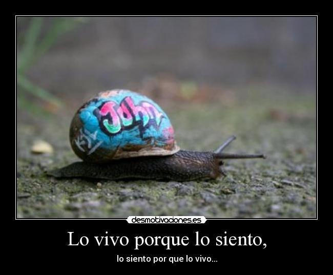 Lo vivo porque lo siento, - lo siento por que lo vivo...