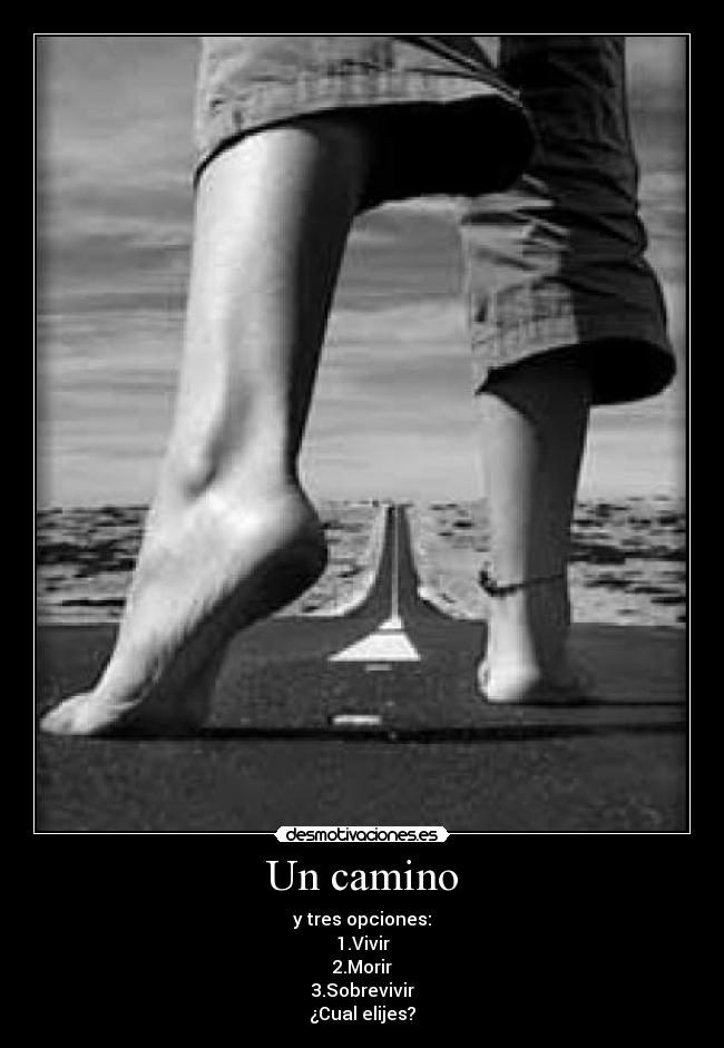 Un camino -