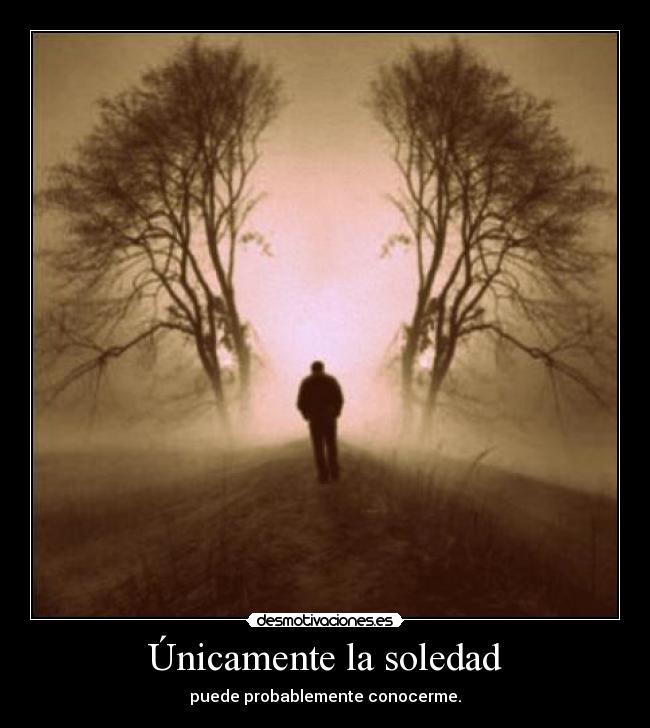 carteles soledad bfmv desmotivaciones