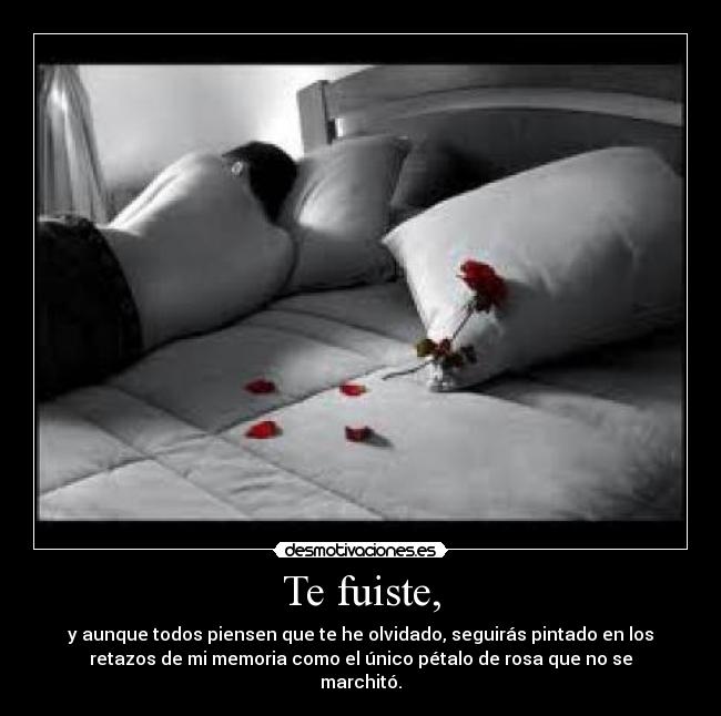 Te fuiste, - y aunque todos piensen que te he olvidado, seguirás pintado en los
retazos de mi memoria como el único pétalo de rosa que no se
marchitó.