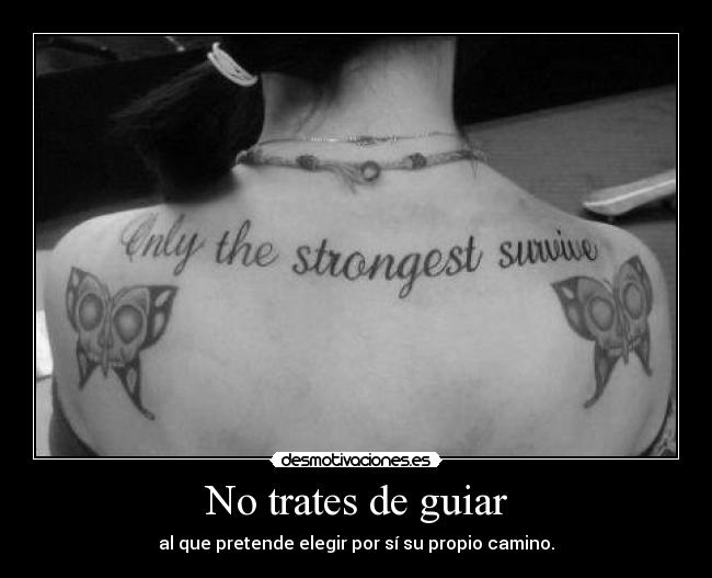 carteles hoy estoy raro entiendo por que desmotivaciones