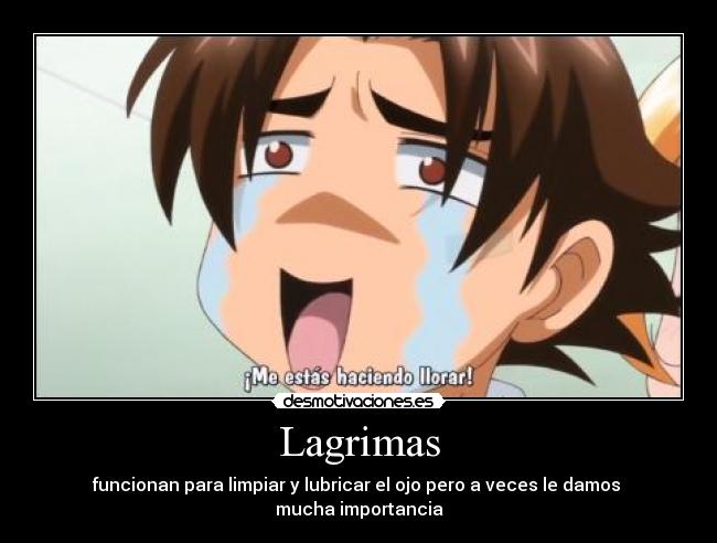 Lagrimas - funcionan para limpiar y lubricar el ojo pero a veces le damos
mucha importancia