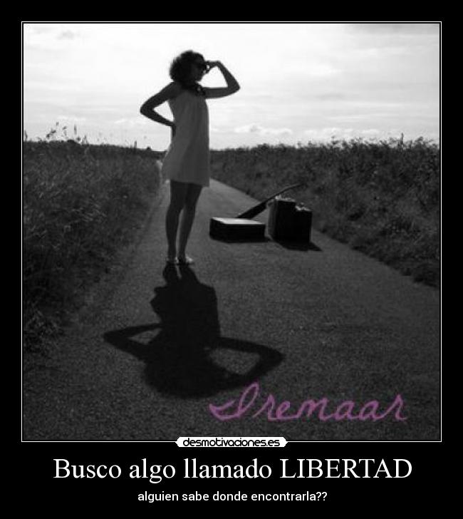 carteles libertad desmotivaciones